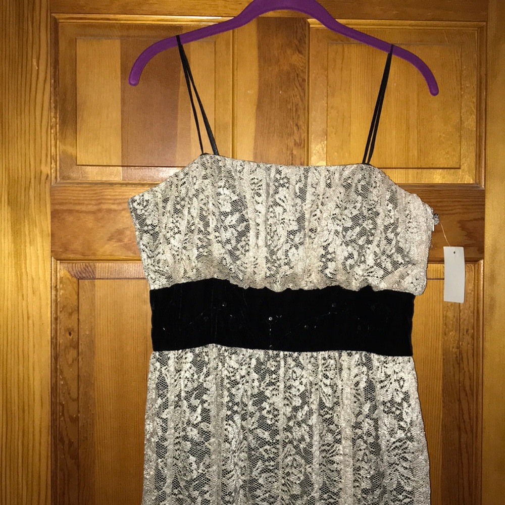 Strapless Lace Dress NWT